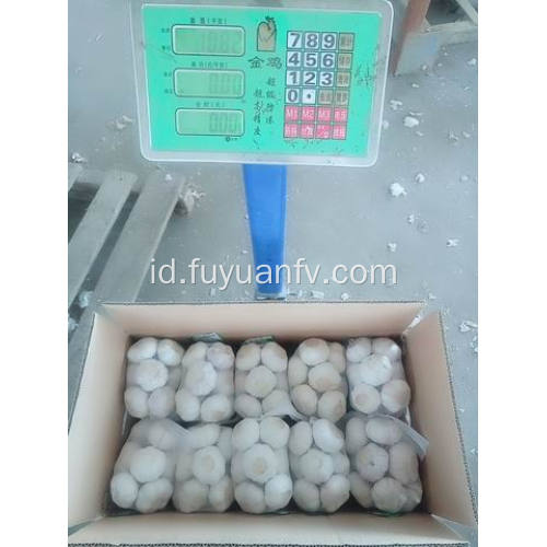 Paket dalam 500gx20 / 10kg Bawang Putih